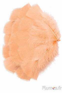 Pute - 6-8 cm - lachs